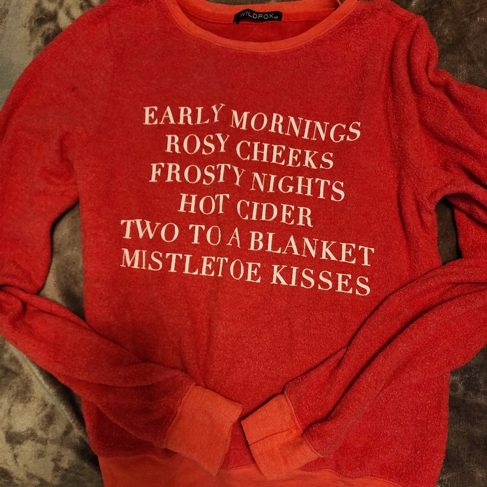 Wildfox Christmas sweater